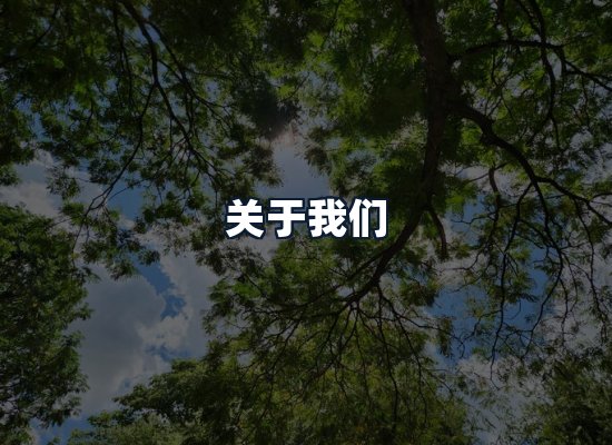 关于我们
