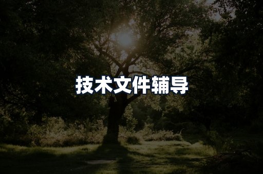 技术文件辅导